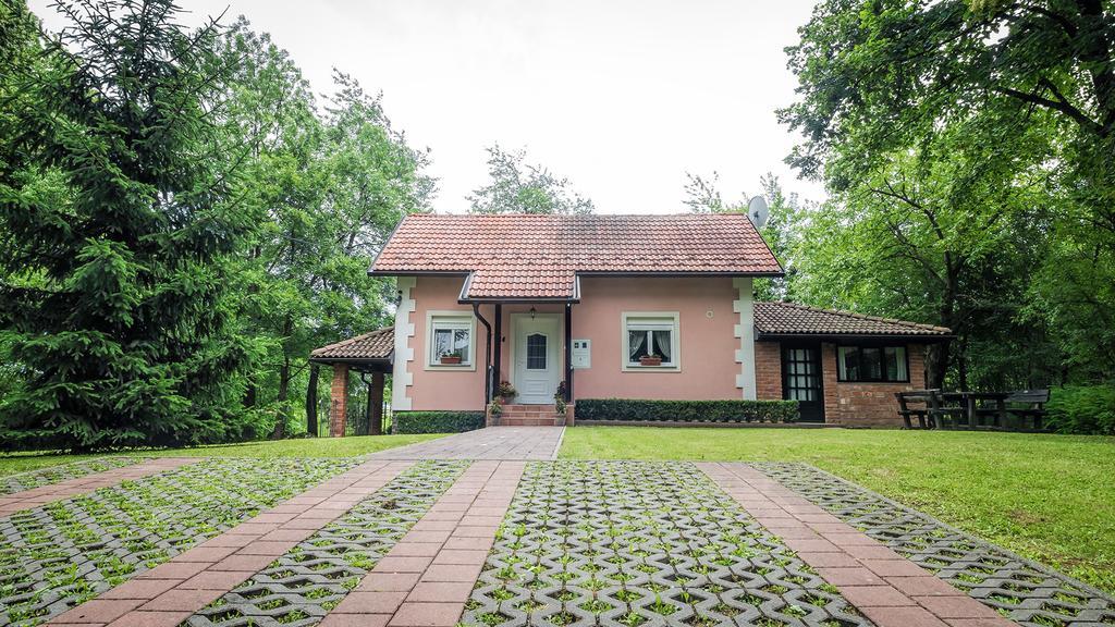 Hotel Nika Čatrnja Exterior foto